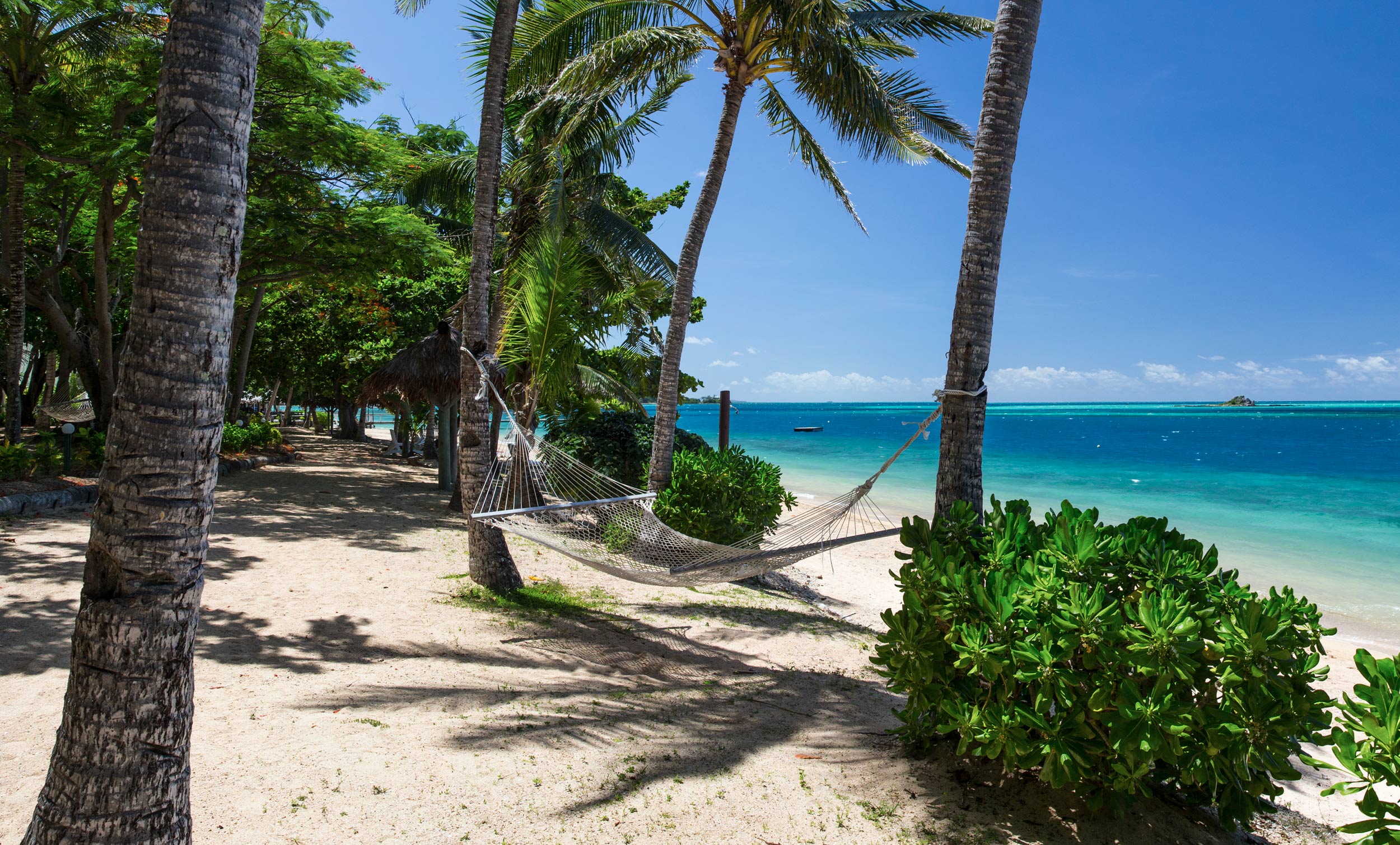 Fiji-PerfectHammock9