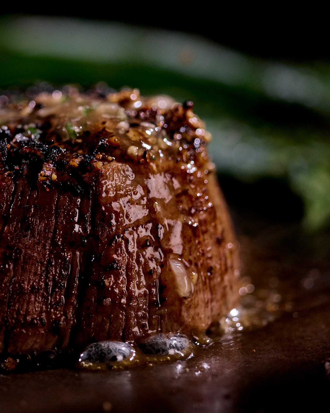 Hickery-Crusted-Filet-069